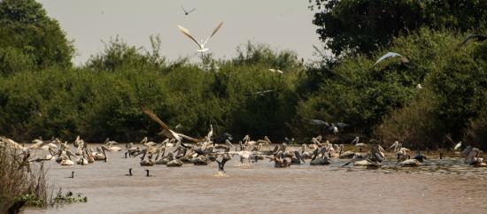 attraction-Ang Tropeang Thmor Dirt Bike Tours.jpg